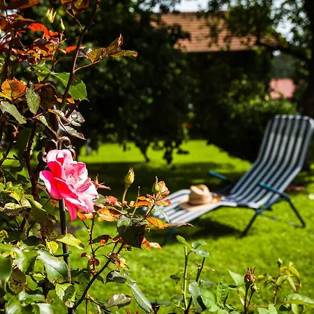 Obernacher Hof Apartamento Walchensee